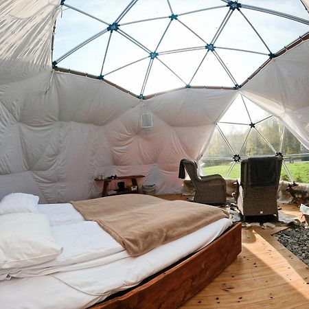 מלון לאקסלב Wild Caribou Dome מראה חיצוני תמונה