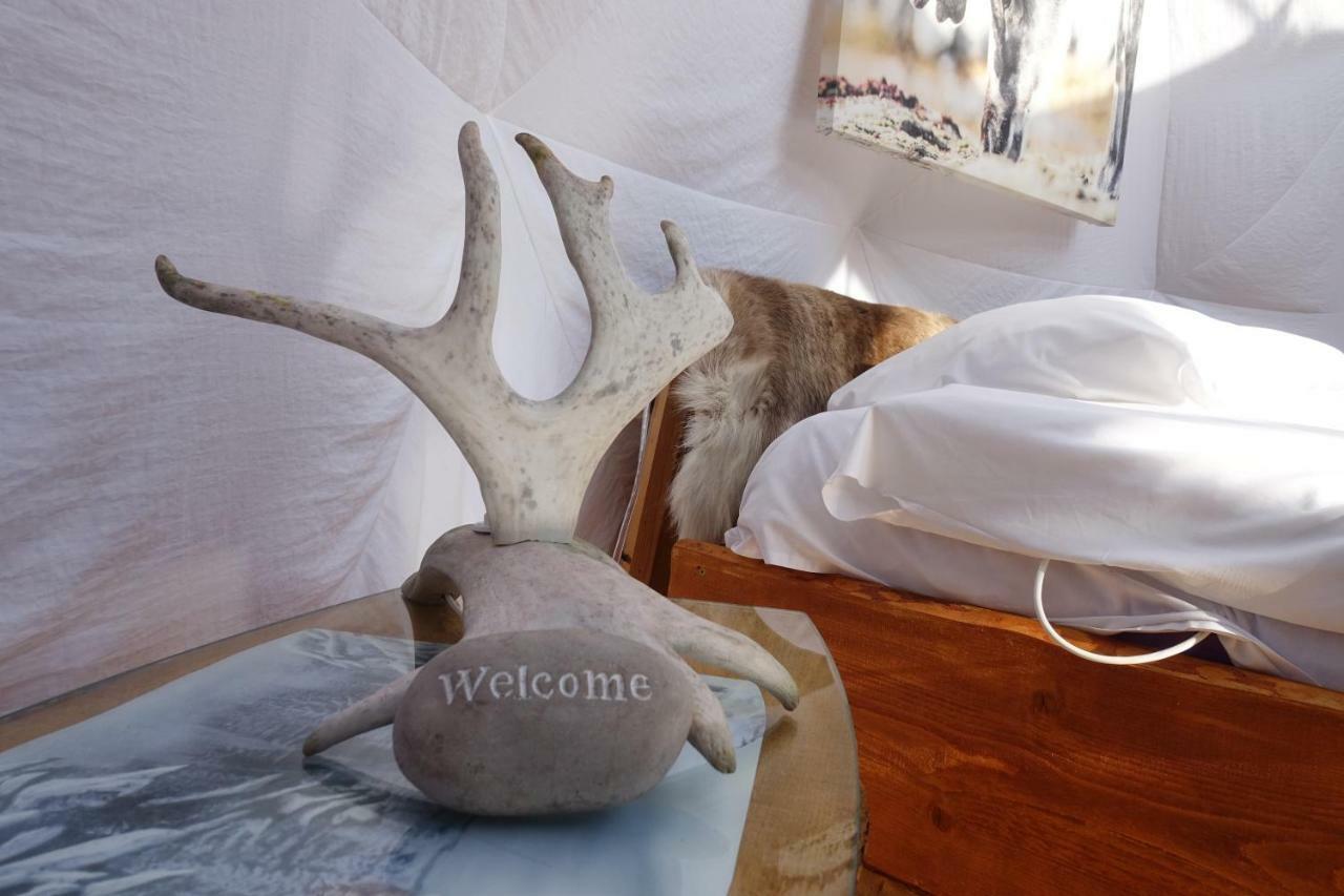 מלון לאקסלב Wild Caribou Dome מראה חיצוני תמונה