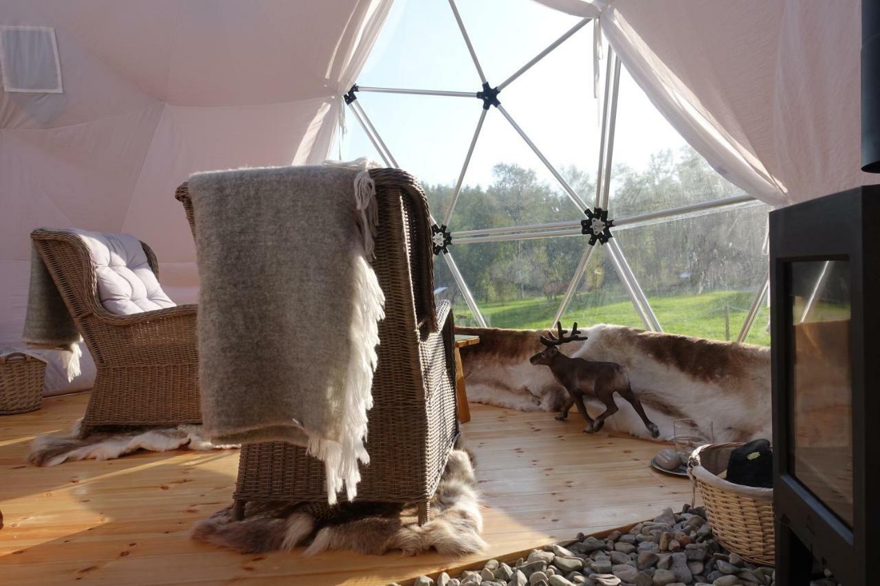 מלון לאקסלב Wild Caribou Dome מראה חיצוני תמונה